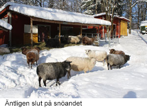 slut pa.jpg